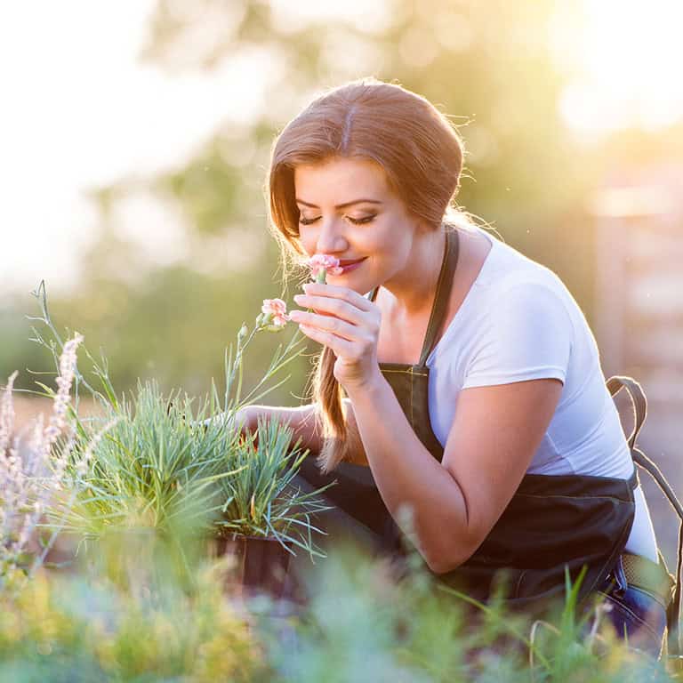 Herb garden and Salvia herbal drops