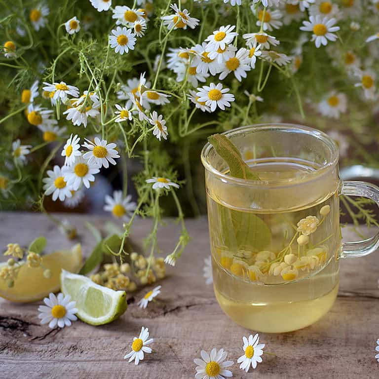 Homemade Em-eukal tea